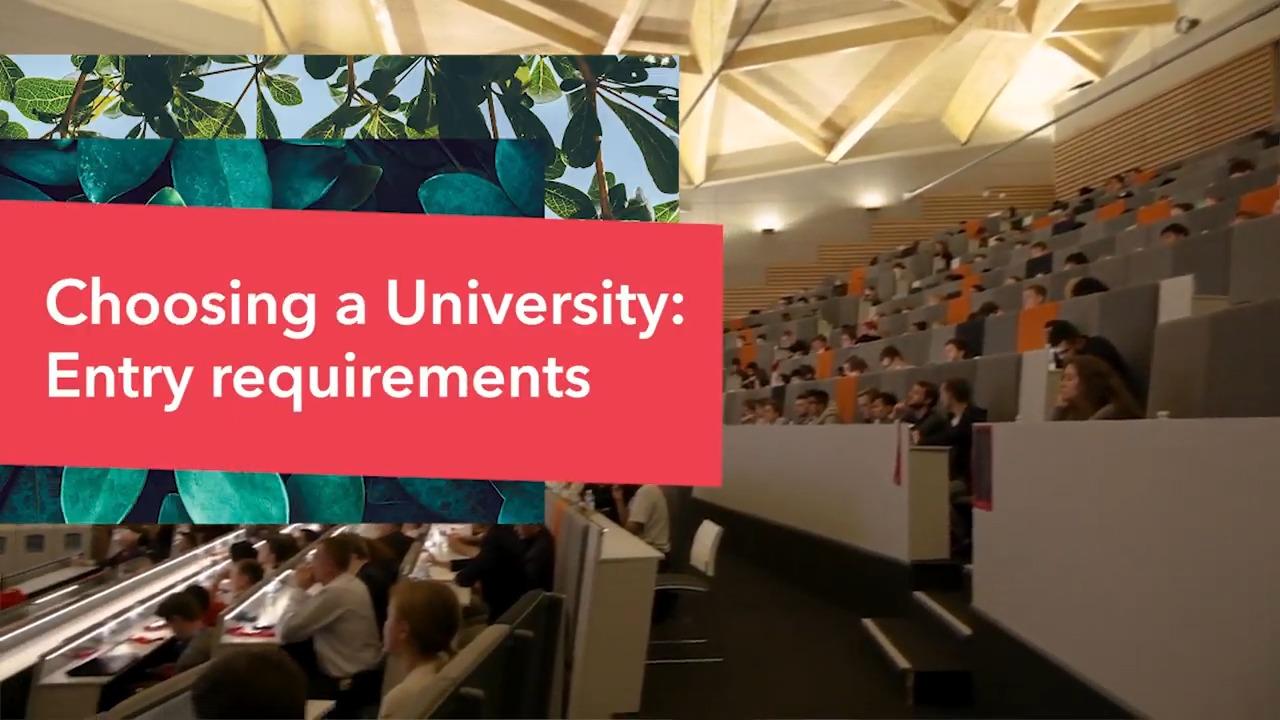 What are the entry requirements for university?